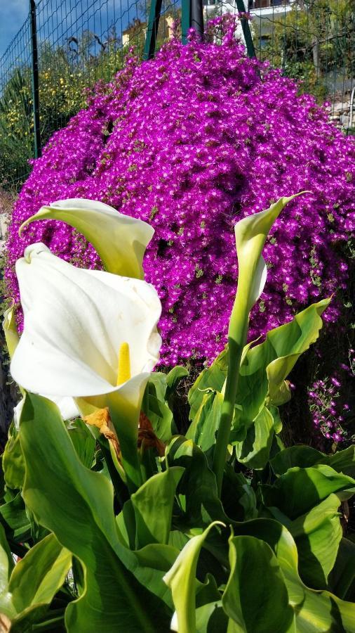 Ferienhaus Il Giardino Di Gio' *