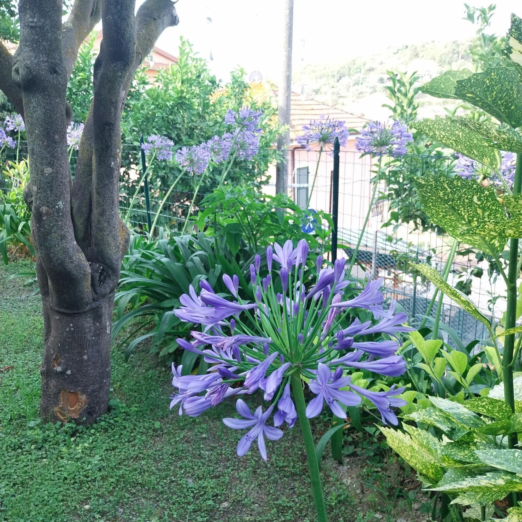 Il Giardino Di Gio' Ferienhaus