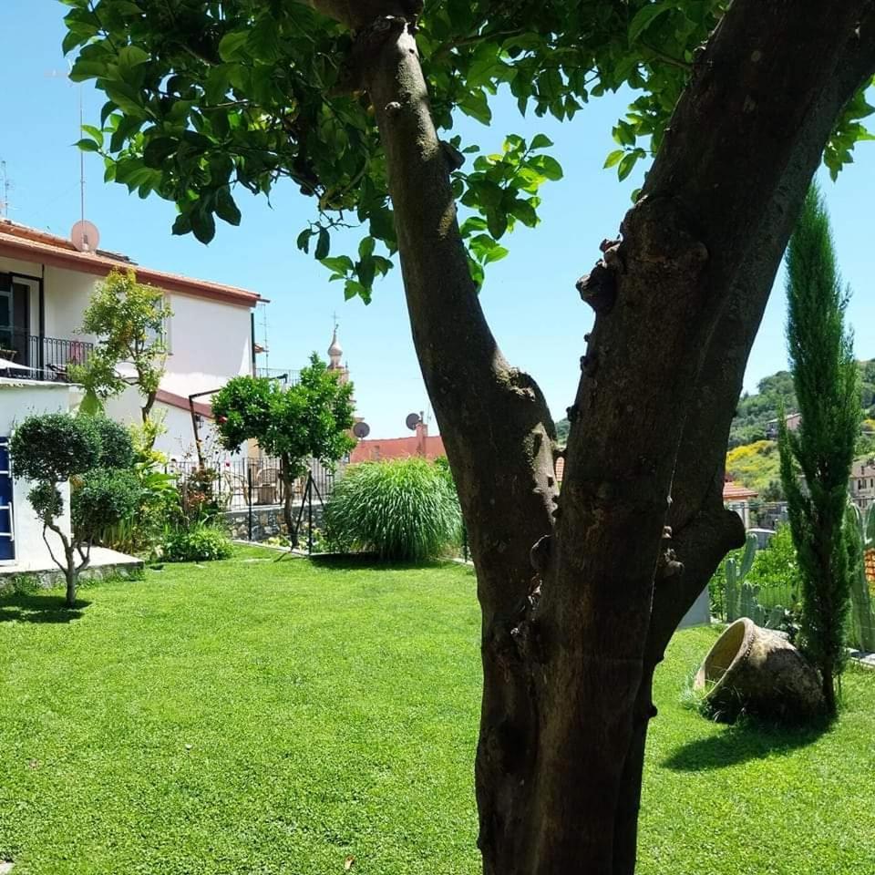 Il Giardino Di Gio' * Imperia